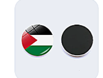 Palestine Magnet Button Set – Al Falastini™ 1"x1" Size