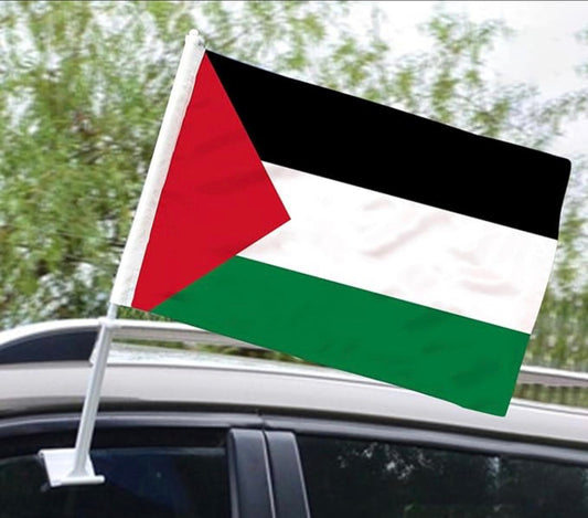 Palestinian Car Window Flags